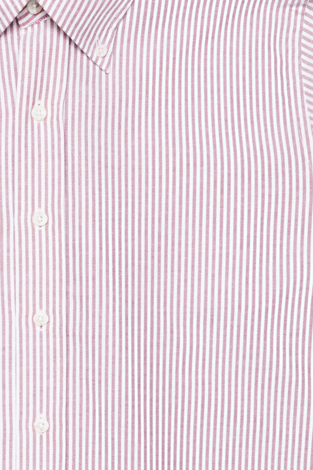 Dexter Burgundy Stripe