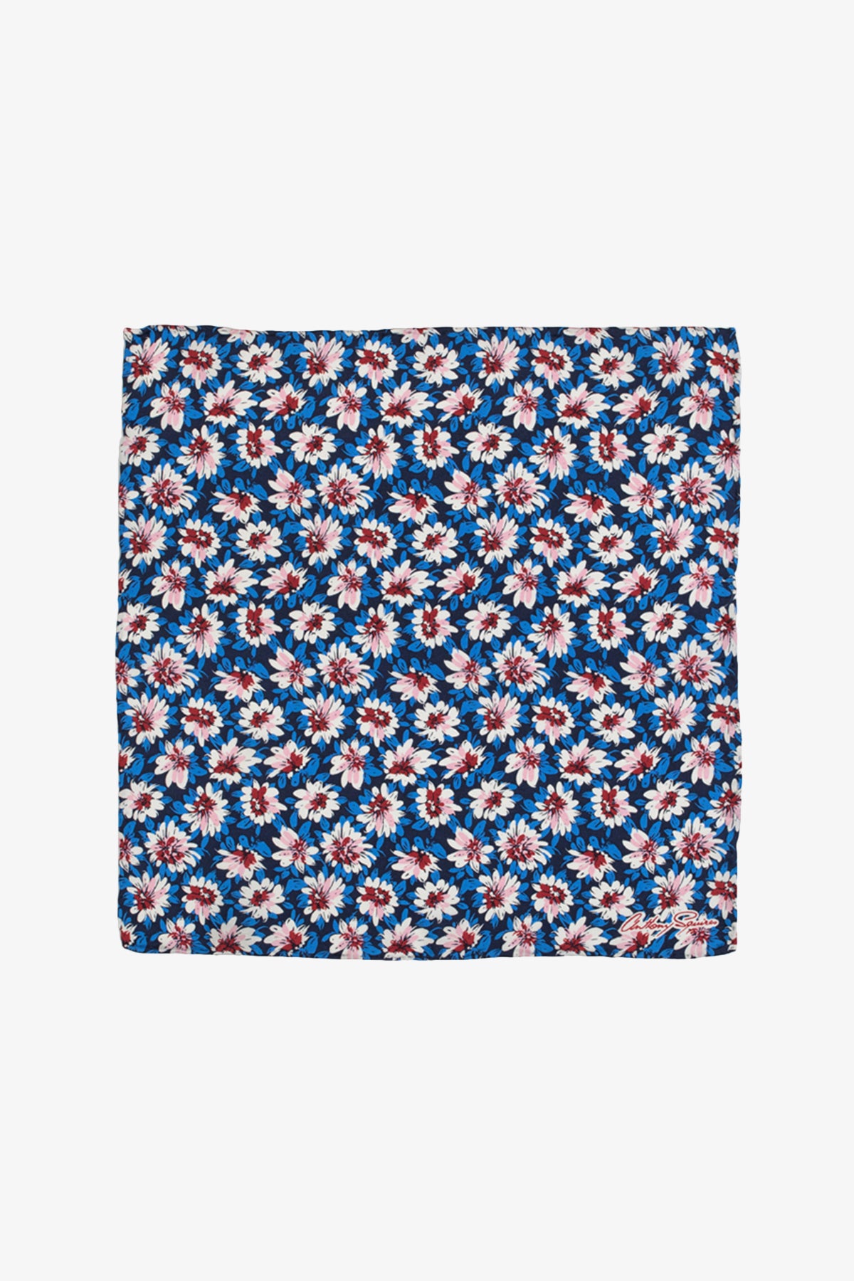 Pocket square - Red