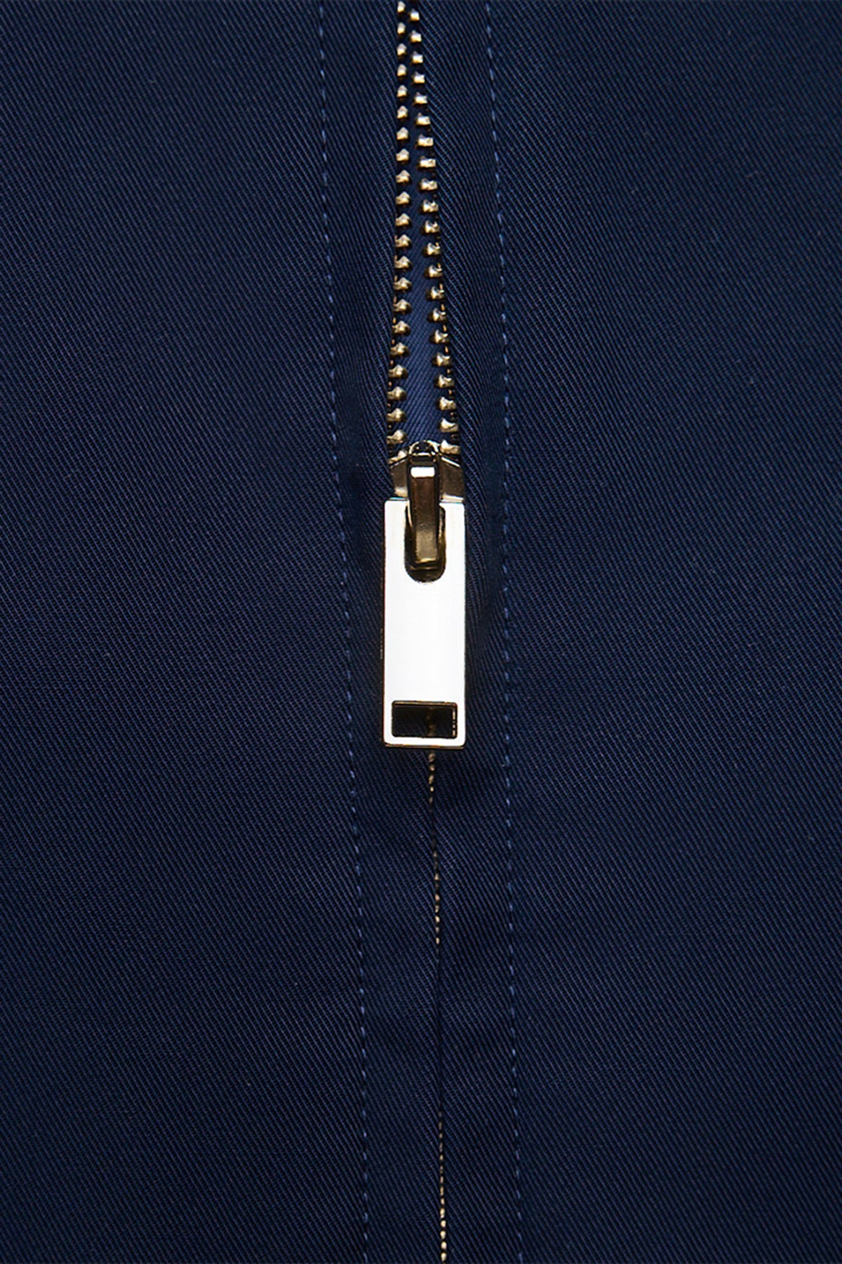 Dion blue blouson