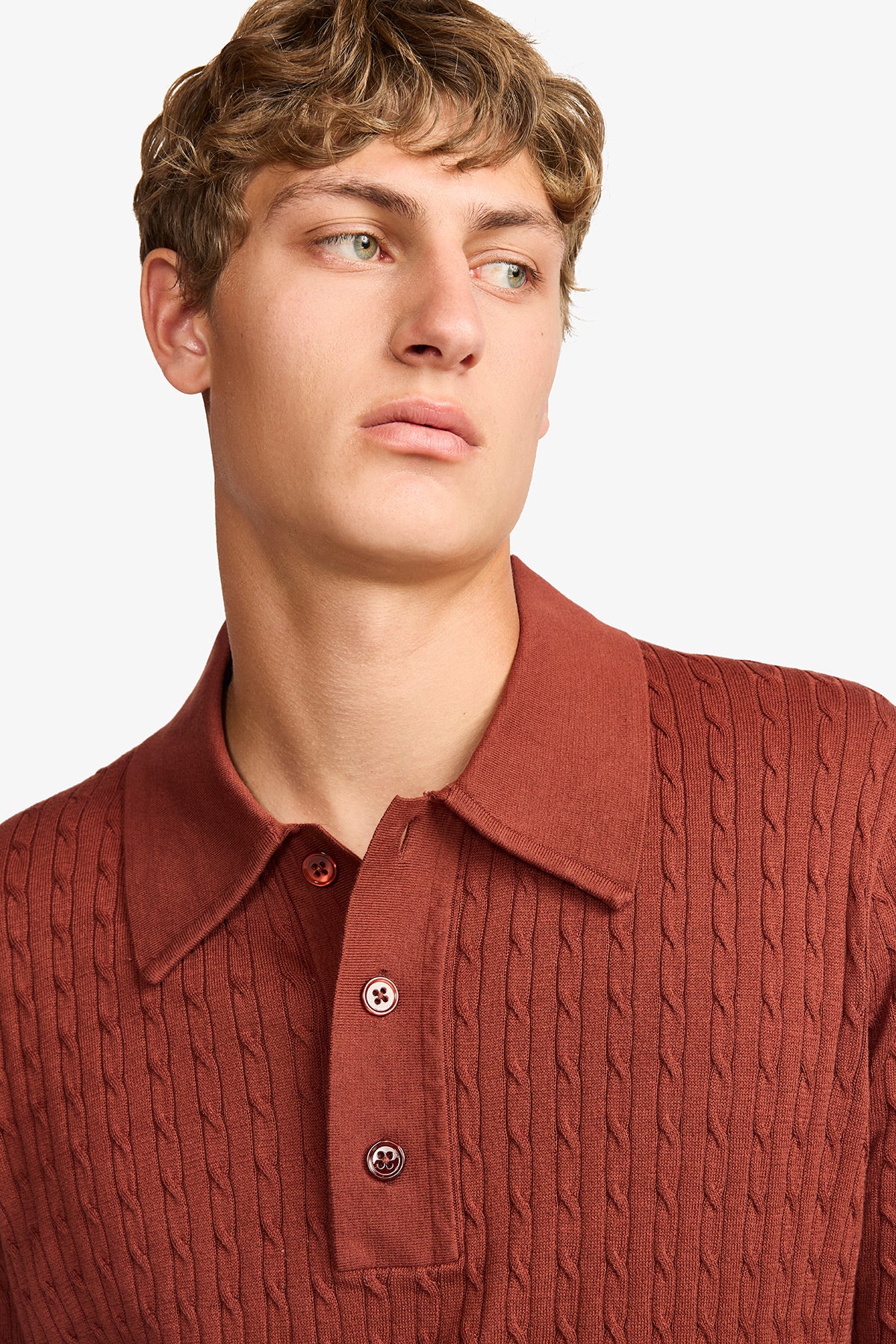 Evan burgundy knitted cable Polo
