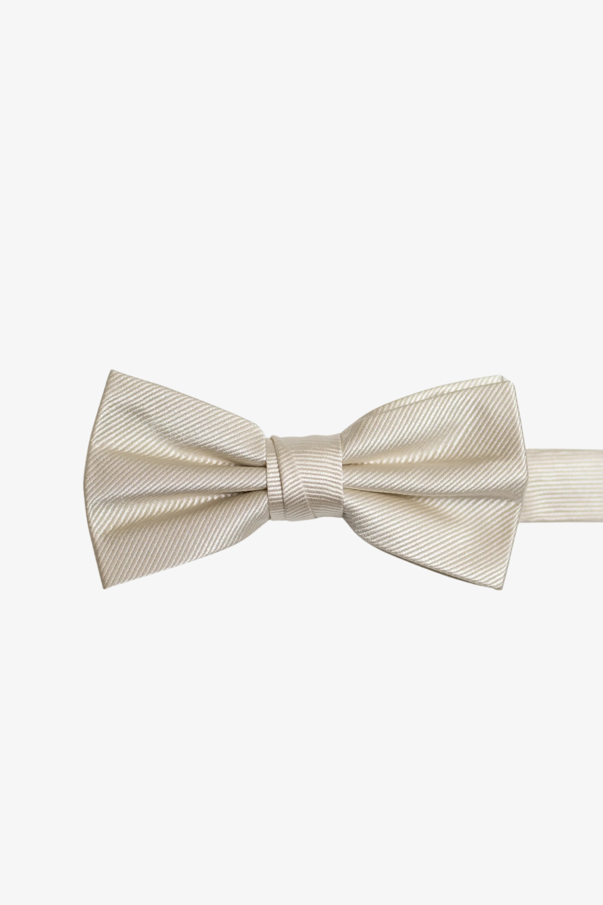Bow tie - Ivory