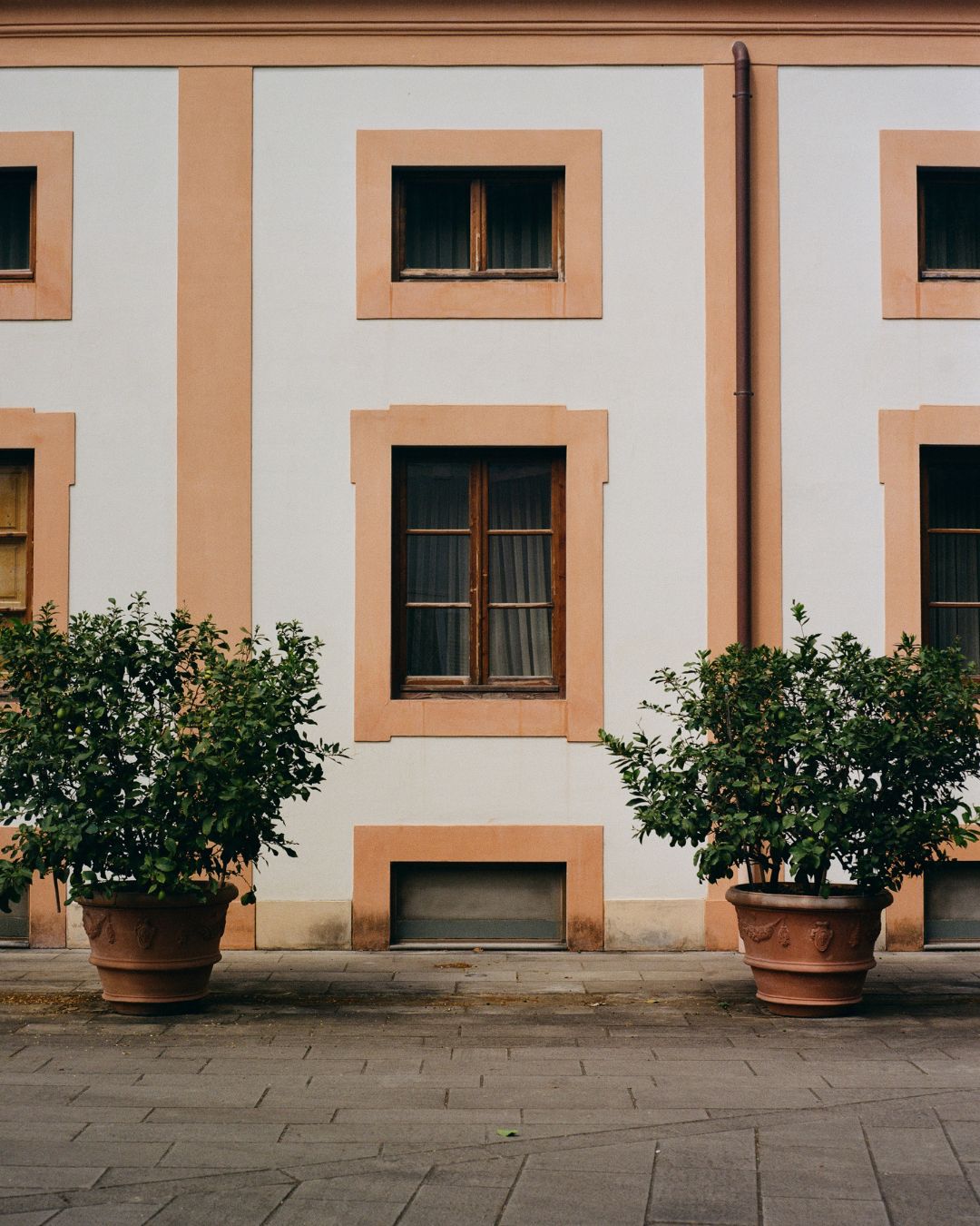 SS25: The Florence Edition_3: Two potted plants in front of a building with a neutral facade.